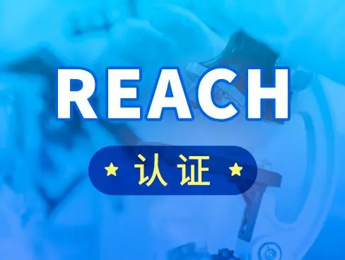 REACH是什么意思？